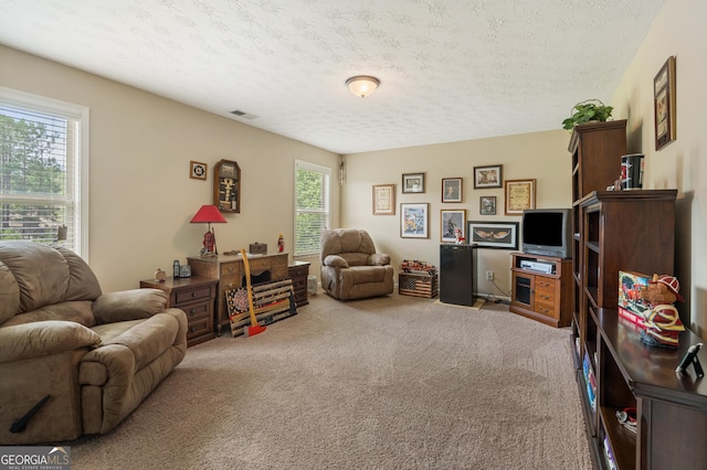 interior space featuring a healthy amount of sunlight, a textured ceiling, and carpet flooring