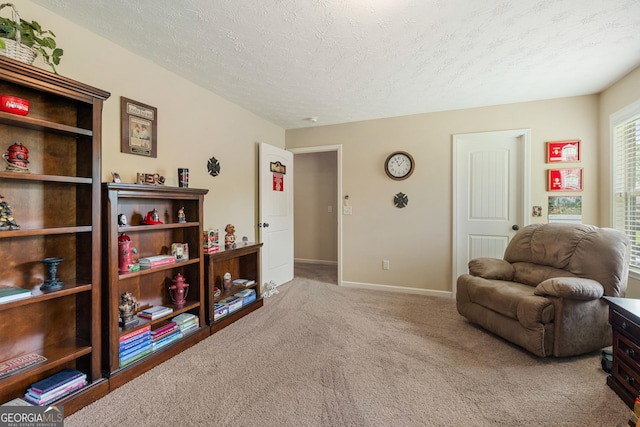 sitting room with carpet flooring and a textured ceiling