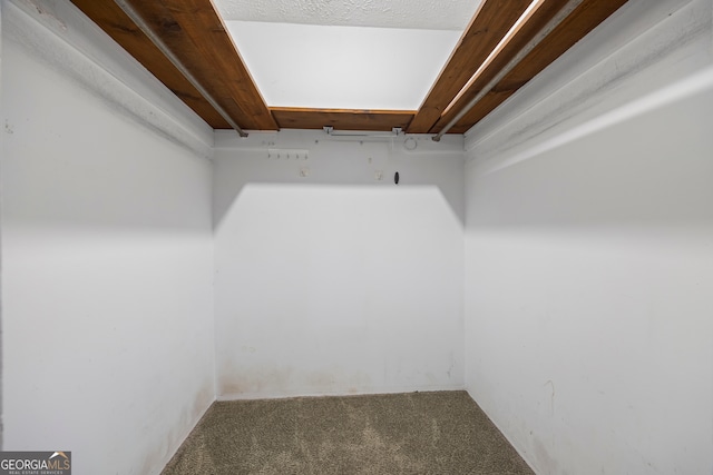 215 Bellvue Dr, Toccoa, GA 30577 - walk in closet with carpet