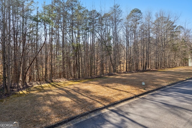 Listing photo 2 for 0 Honey Tree Ter, Dahlonega GA 30533