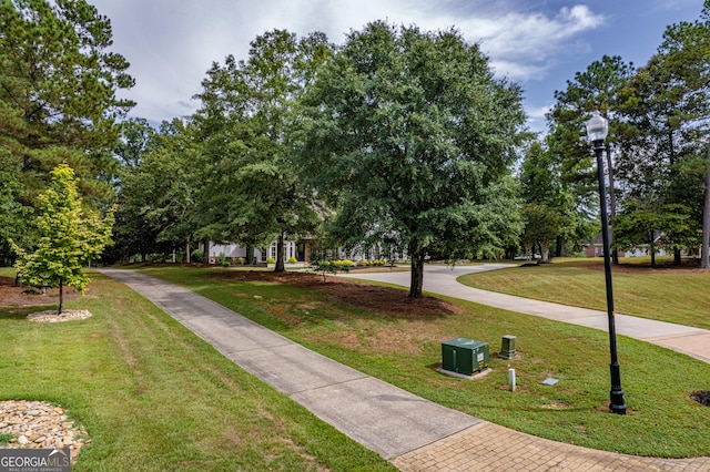 view of community with a yard