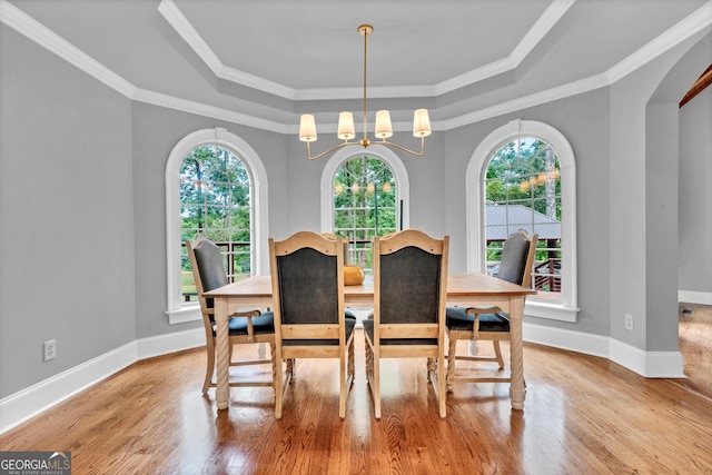 dining room with crown molding, a healthy amount of sunlight, and a tray ceiling