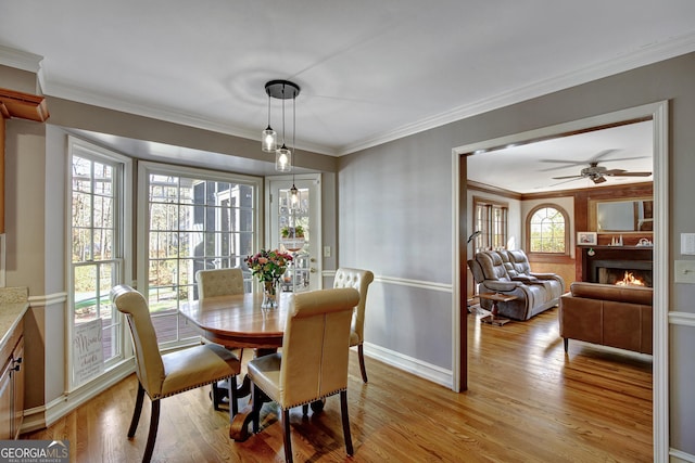 dining area with crown molding, ceiling fan, and light wood-type flooring