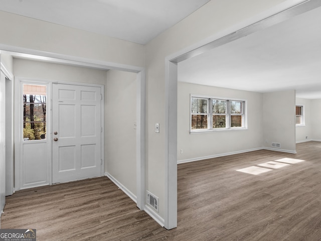 foyer entrance featuring wood-type flooring and a healthy amount of sunlight