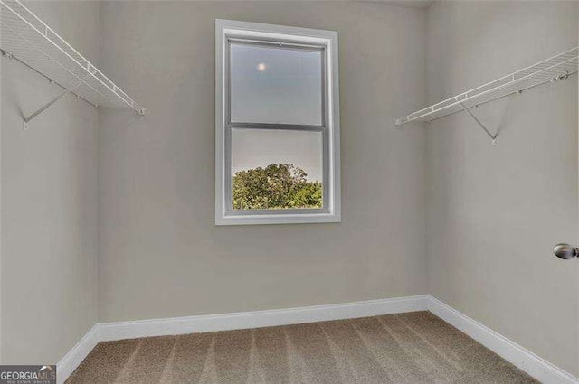 spacious closet with carpet