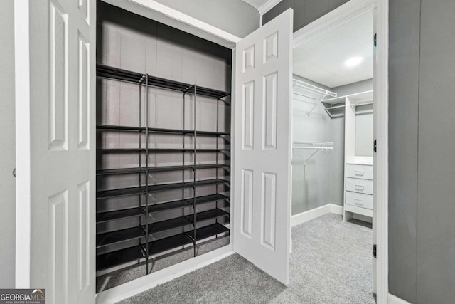 spacious closet with carpet floors