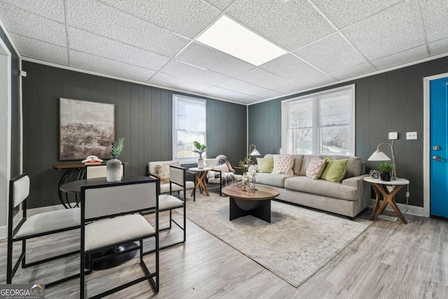 living room featuring hardwood / wood-style flooring, a paneled ceiling, and a healthy amount of sunlight