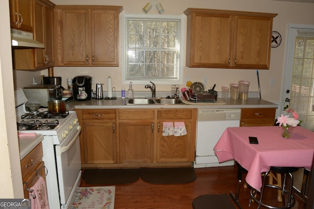 kitchen with dark wood-type flooring, white appliances, and sink