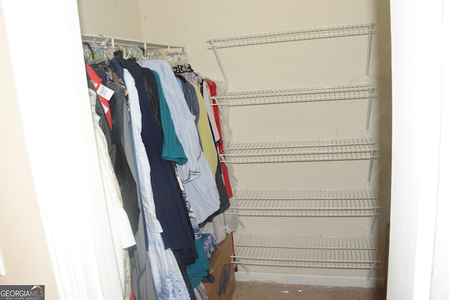 3013 Pommel Ct, Conyers, GA 30013 - view of spacious closet