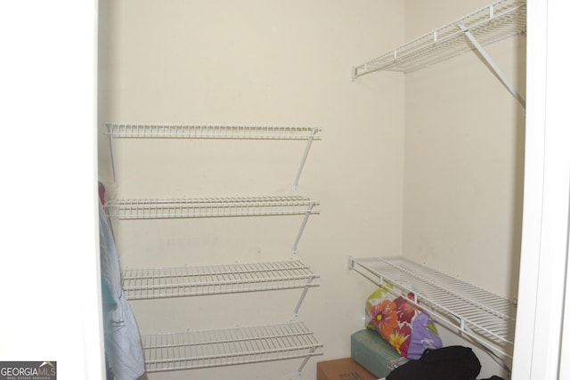 3013 Pommel Ct, Conyers, GA 30013 - view of spacious closet