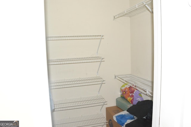 3013 Pommel Ct, Conyers, GA 30013 - view of spacious closet