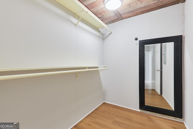 spacious closet featuring hardwood / wood-style flooring