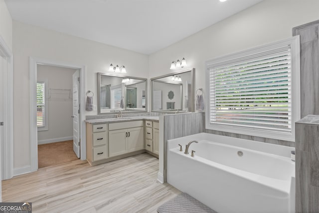 bathroom featuring vanity and a bath