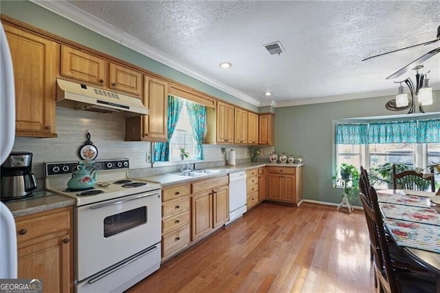 kitchen with crown molding, a textured ceiling, white appliances, and light hardwood / wood-style flooring