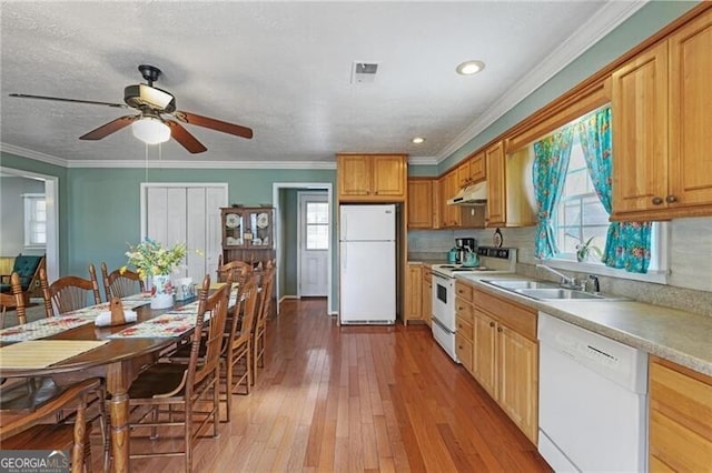 kitchen with sink, white appliances, light wood-type flooring, ornamental molding, and ceiling fan