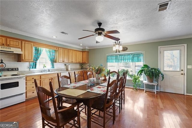 dining area featuring sink, hardwood / wood-style flooring, ceiling fan, crown molding, and a textured ceiling