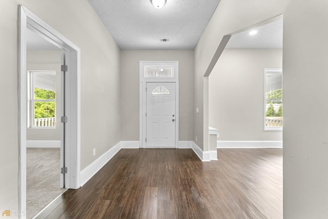 entryway featuring plenty of natural light, wood-type flooring, and a textured ceiling