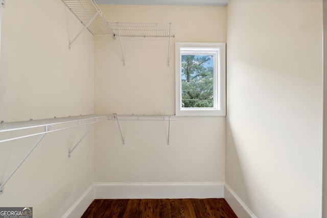 walk in closet with dark hardwood / wood-style flooring