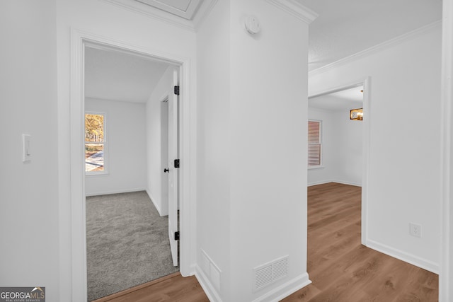 hall featuring crown molding and light hardwood / wood-style floors