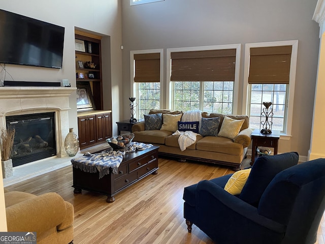 living room with light hardwood / wood-style floors, built in features, and a wealth of natural light