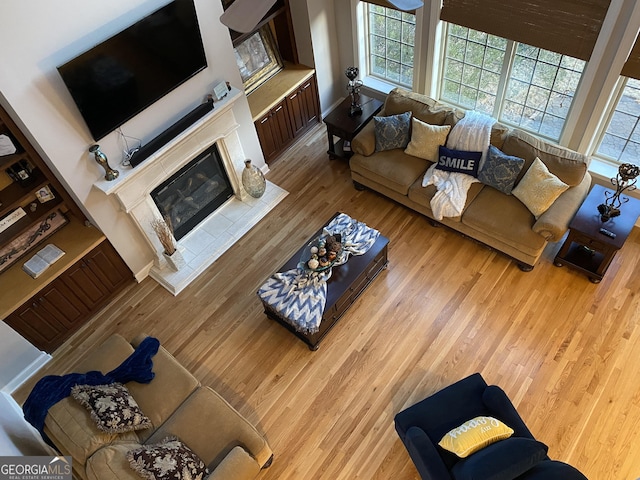 living room featuring hardwood / wood-style floors