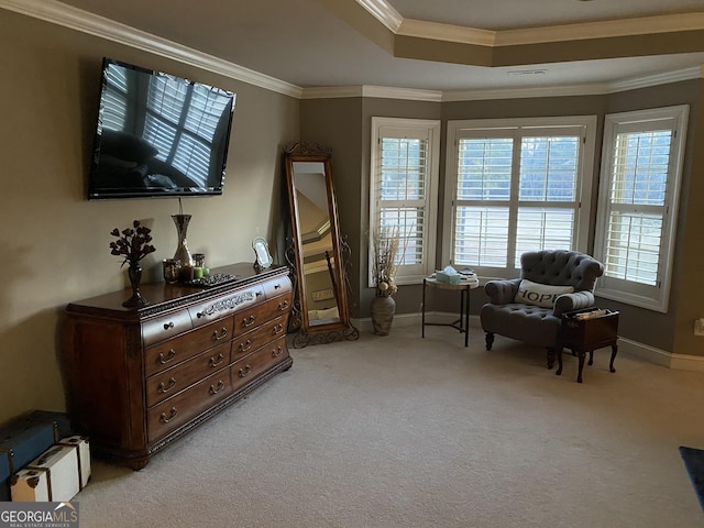 sitting room featuring crown molding, light colored carpet, and a raised ceiling