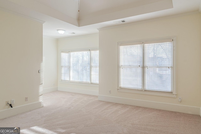 spare room with crown molding, light colored carpet, and a raised ceiling