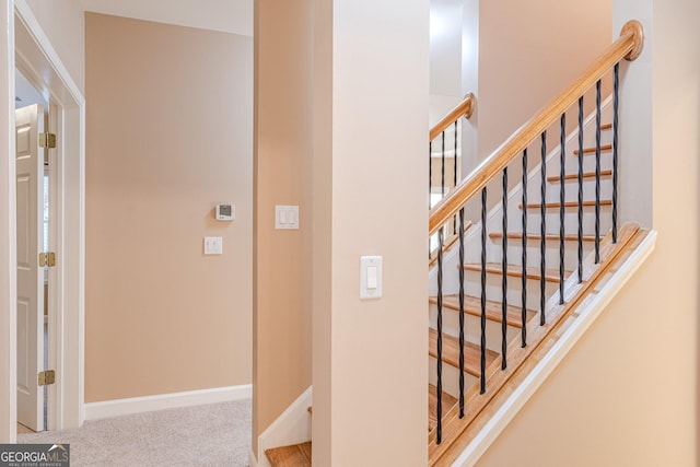 interior space with carpet