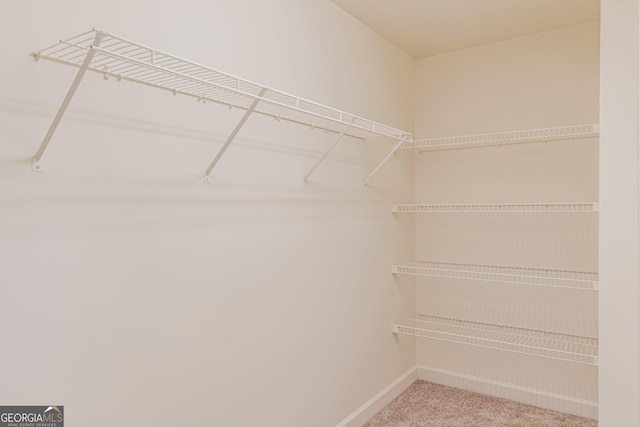 walk in closet with carpet