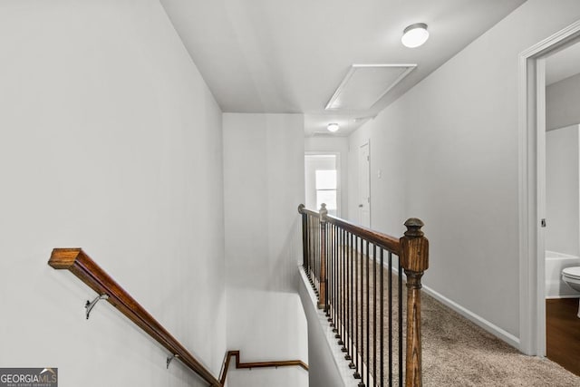 staircase with carpet floors