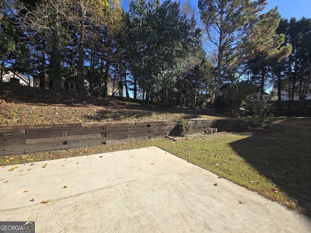 view of yard featuring a patio area