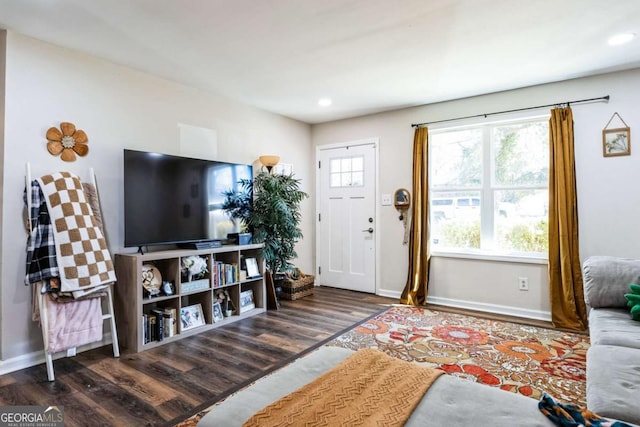 living room with dark hardwood / wood-style flooring