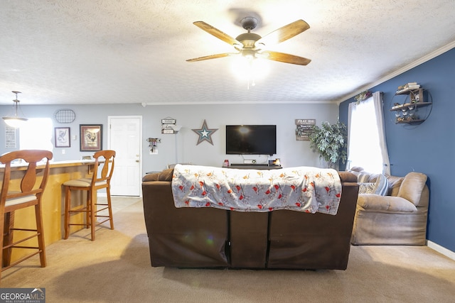 carpeted living room featuring ceiling fan, ornamental molding, and a textured ceiling