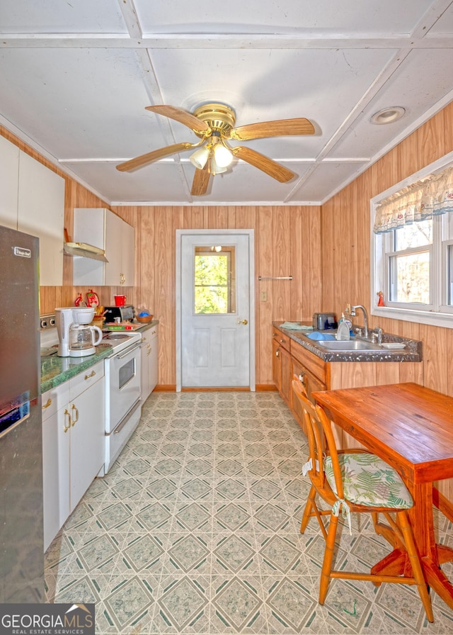 kitchen featuring ornamental molding, a wealth of natural light, and wood walls