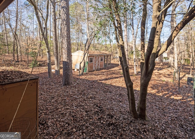 view of yard with a storage unit