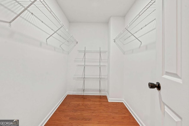 walk in closet featuring hardwood / wood-style flooring