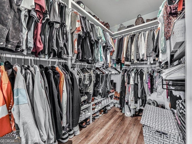 walk in closet featuring hardwood / wood-style floors