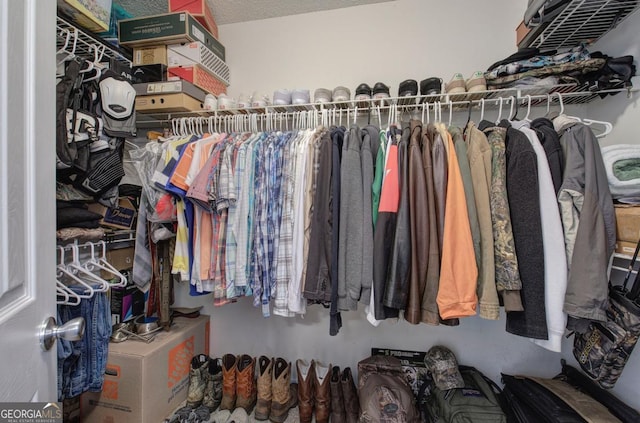 view of walk in closet