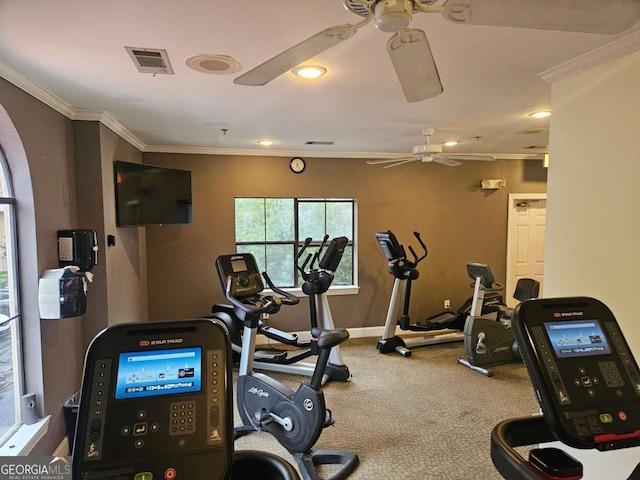 exercise room with crown molding, ceiling fan, and carpet