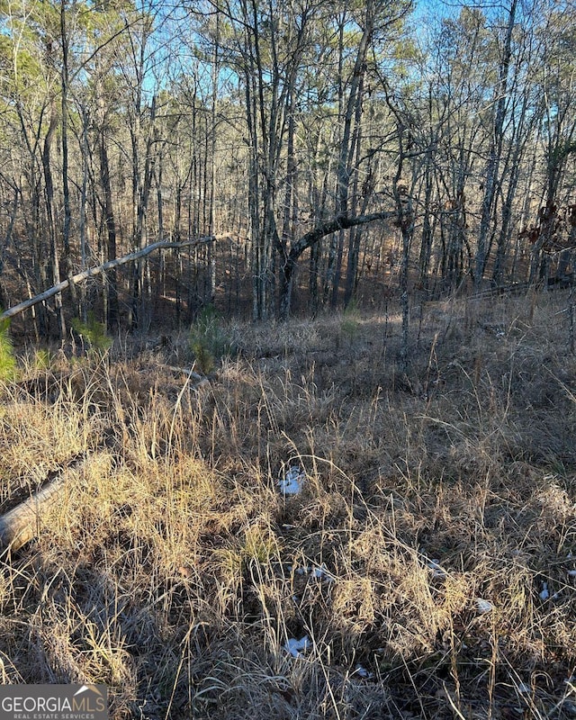 0 Brandywine Run, Sparta GA, 31087 land for sale