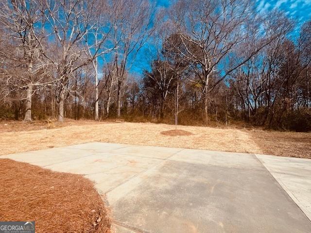 view of yard featuring a patio area