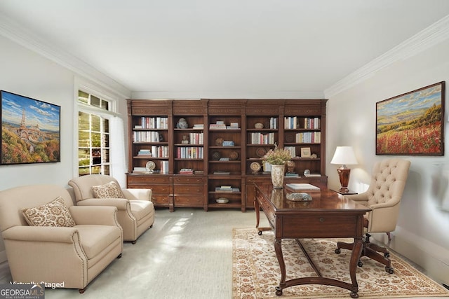 2290 Spencers Way, Stone Mountain, GA 30087 - home office with ornamental molding and light carpet