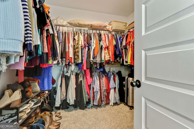 walk in closet with carpet floors