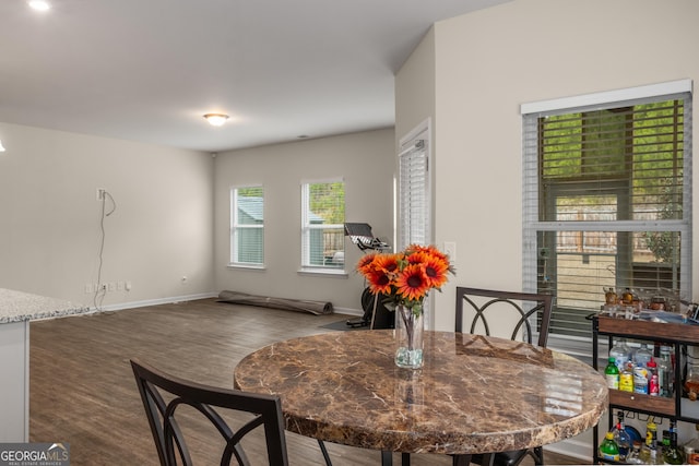 dining room with hardwood / wood-style floors