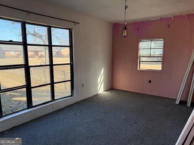 carpeted empty room with wooden walls