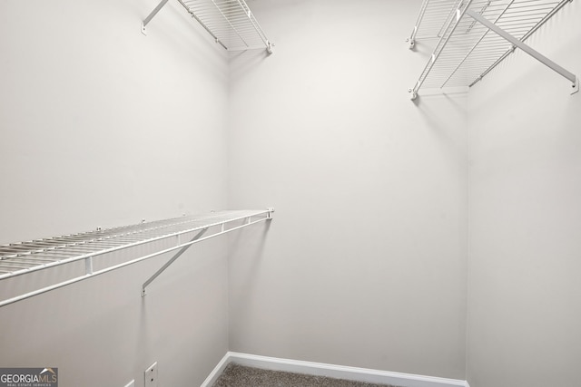 3742 Berkeley Xing, Duluth, GA 30096 - walk in closet featuring carpet