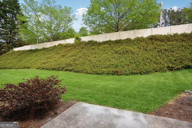 3742 Berkeley Xing, Duluth, GA 30096 - view of yard