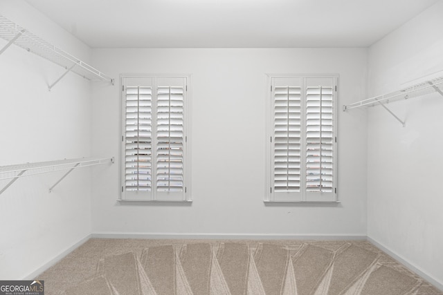 spacious closet featuring carpet floors