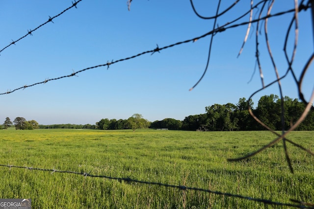 243 College St, Yatesville, GA 31097 - view of yard featuring a view of rural / pastoral area
