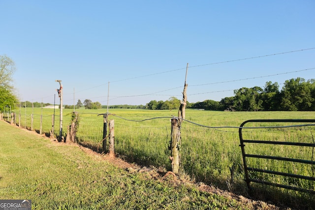 243 College St, Yatesville, GA 31097 - view of yard with a view of rural / pastoral area